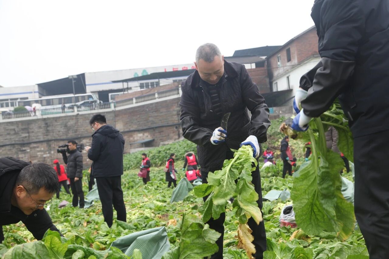GA黄金甲(中国游)最新官方网站